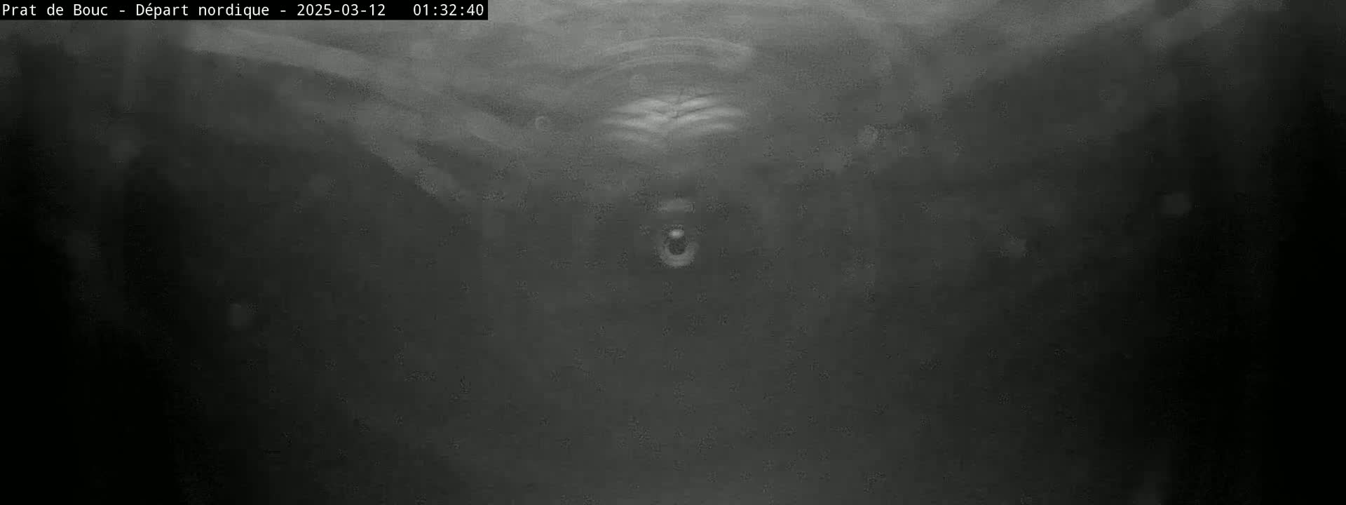 A blurry, dark grayscale image shows an indistinct shape that may be an animal's head in the center, possibly underwater.