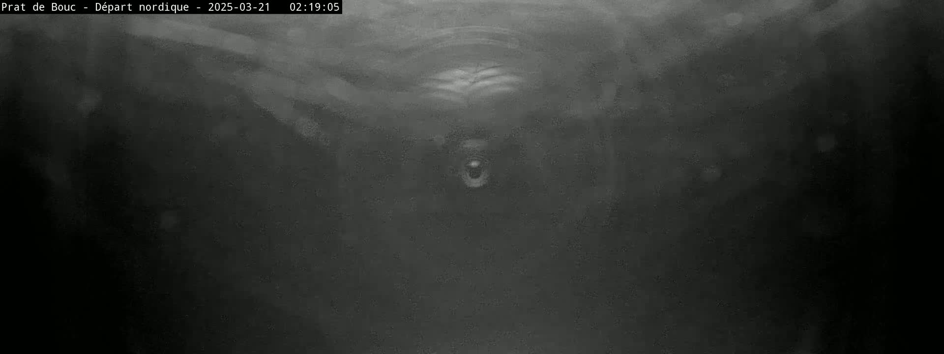 A blurry, dark grayscale image shows a possibly underwater scene with indistinct shapes and what might be a large animal's head in the center.