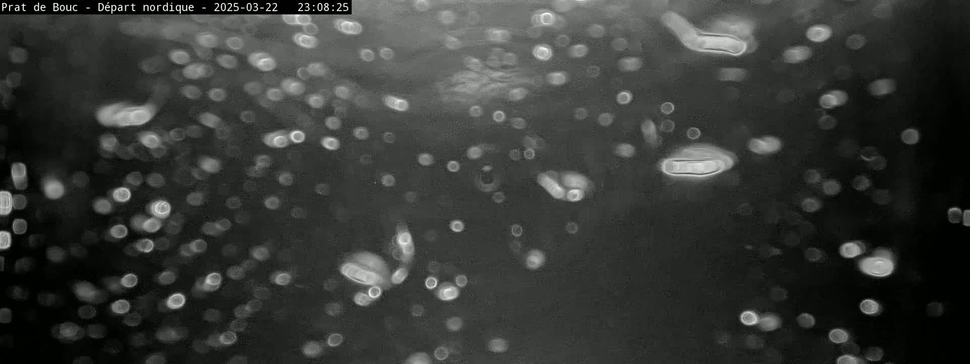A grayscale image shows many out-of-focus, light-colored, round and oblong shapes scattered on a dark background.