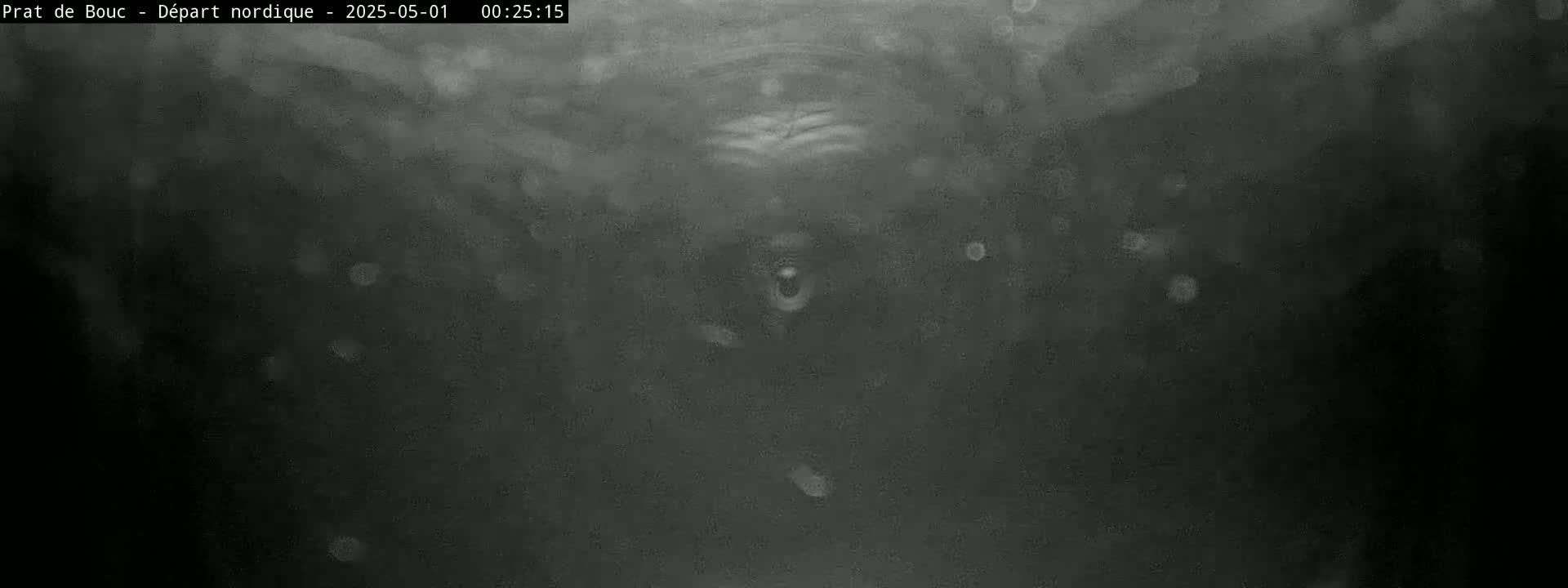 A dark, blurry image shows a mostly black scene with small, bright specks scattered throughout, possibly depicting nighttime conditions.