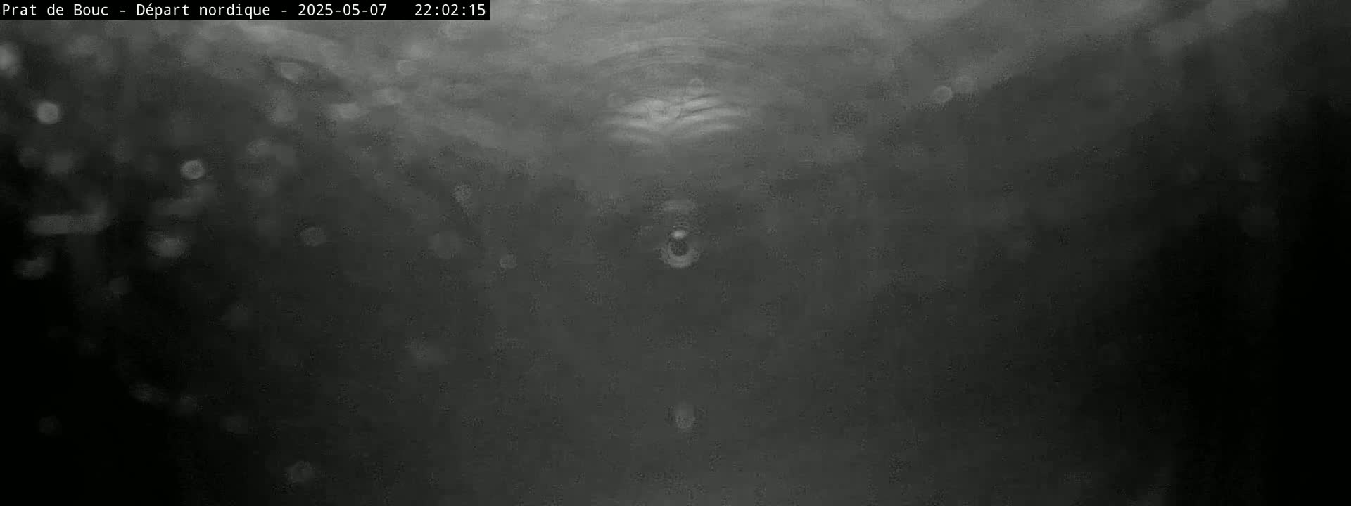 A blurry, dark grayscale image shows a small, indistinct object at the center, possibly underwater with particles floating around it.