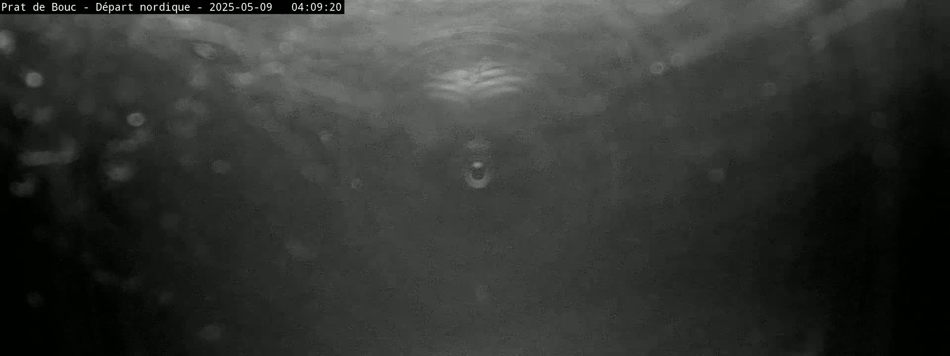 A blurry, dark grayscale image shows an indistinct object at the center, possibly underwater, with speckled particles floating in the surrounding water.