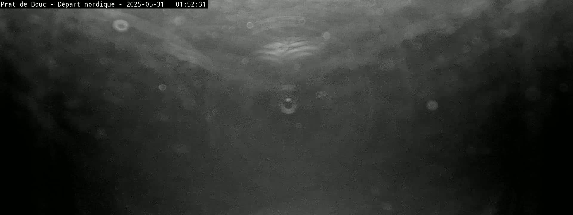A grainy, dark image shows a murky, possibly underwater scene with faint, blurry shapes and small, light specks.