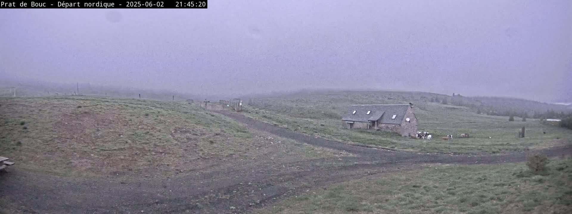 A low stone house sits on a grassy hillside under an overcast sky, with a dirt road leading to it and a few cows grazing nearby.