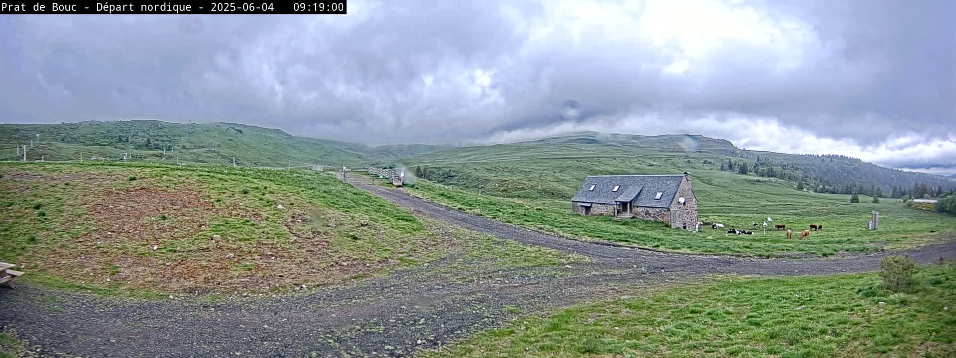 A gravel road leads to a stone building in a grassy field with cows grazing nearby, under a cloudy sky.