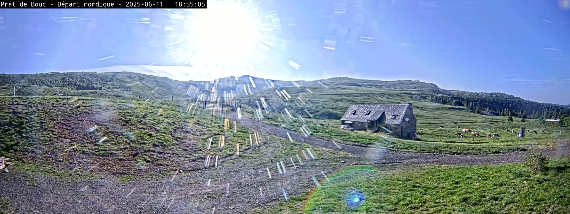 A sunny day reveals a grassy landscape with a stone building, a dirt road, and a herd of cattle grazing in the distance, all set against a backdrop of rolling hills and a clear blue sky.
