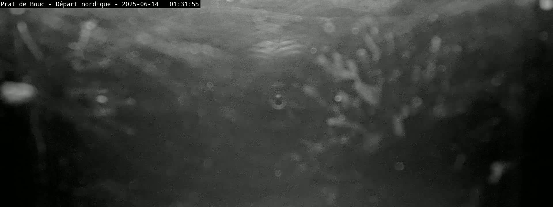 A blurry, grainy, black-and-white image shows indistinct shapes and light specks, possibly taken underwater or through a dirty window.