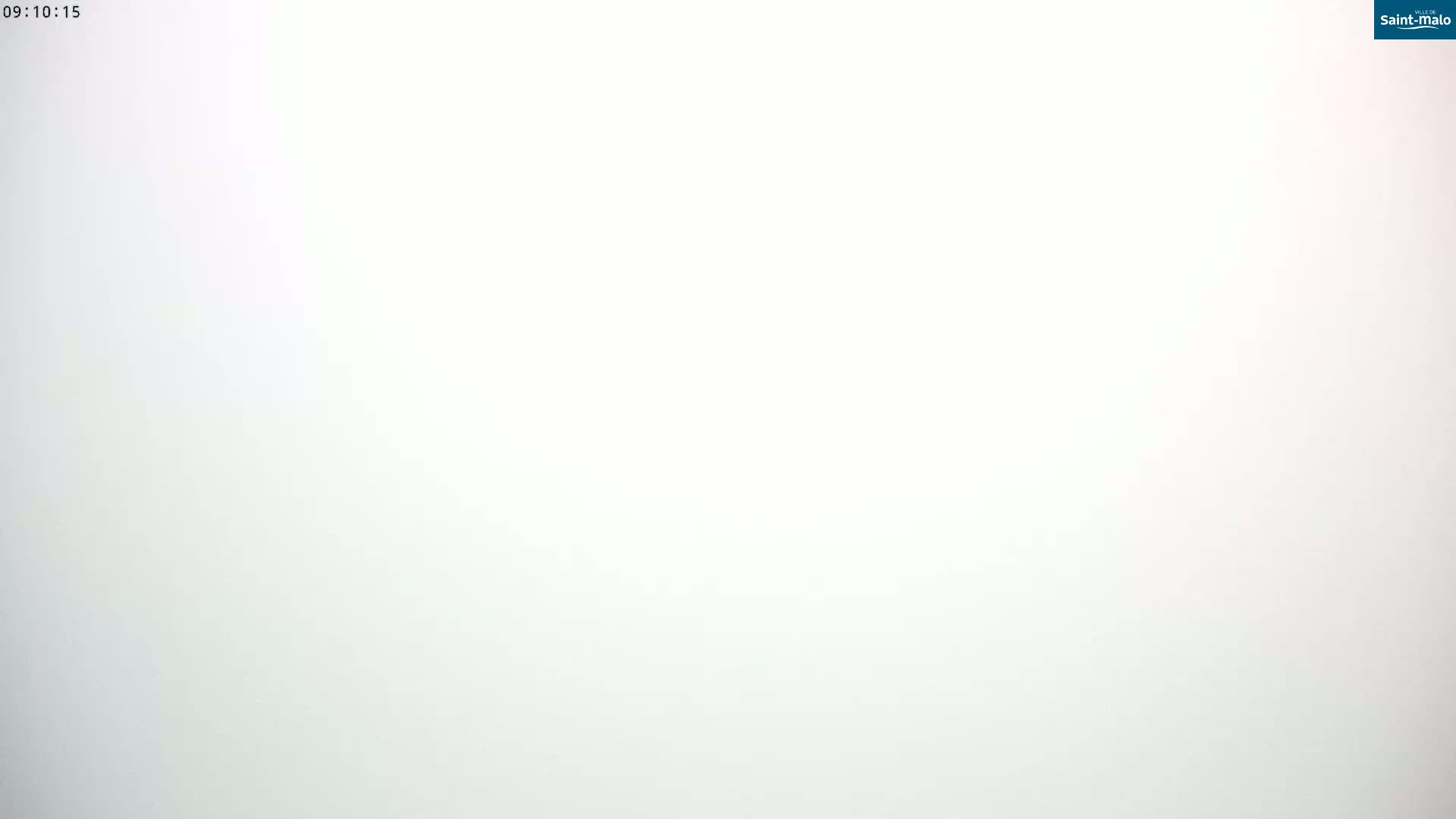 A completely white, featureless image.