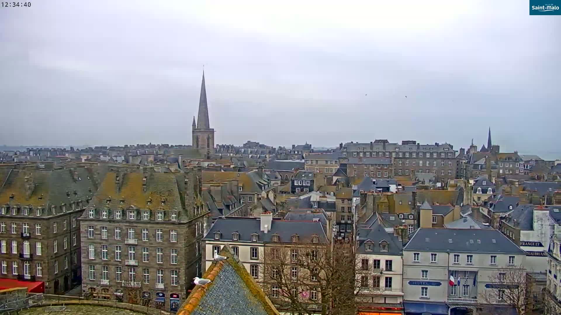 A sprawling cityscape of grey-roofed buildings under an overcast sky, with a tall church spire visible in the distance and two seagulls perched on a rooftop.