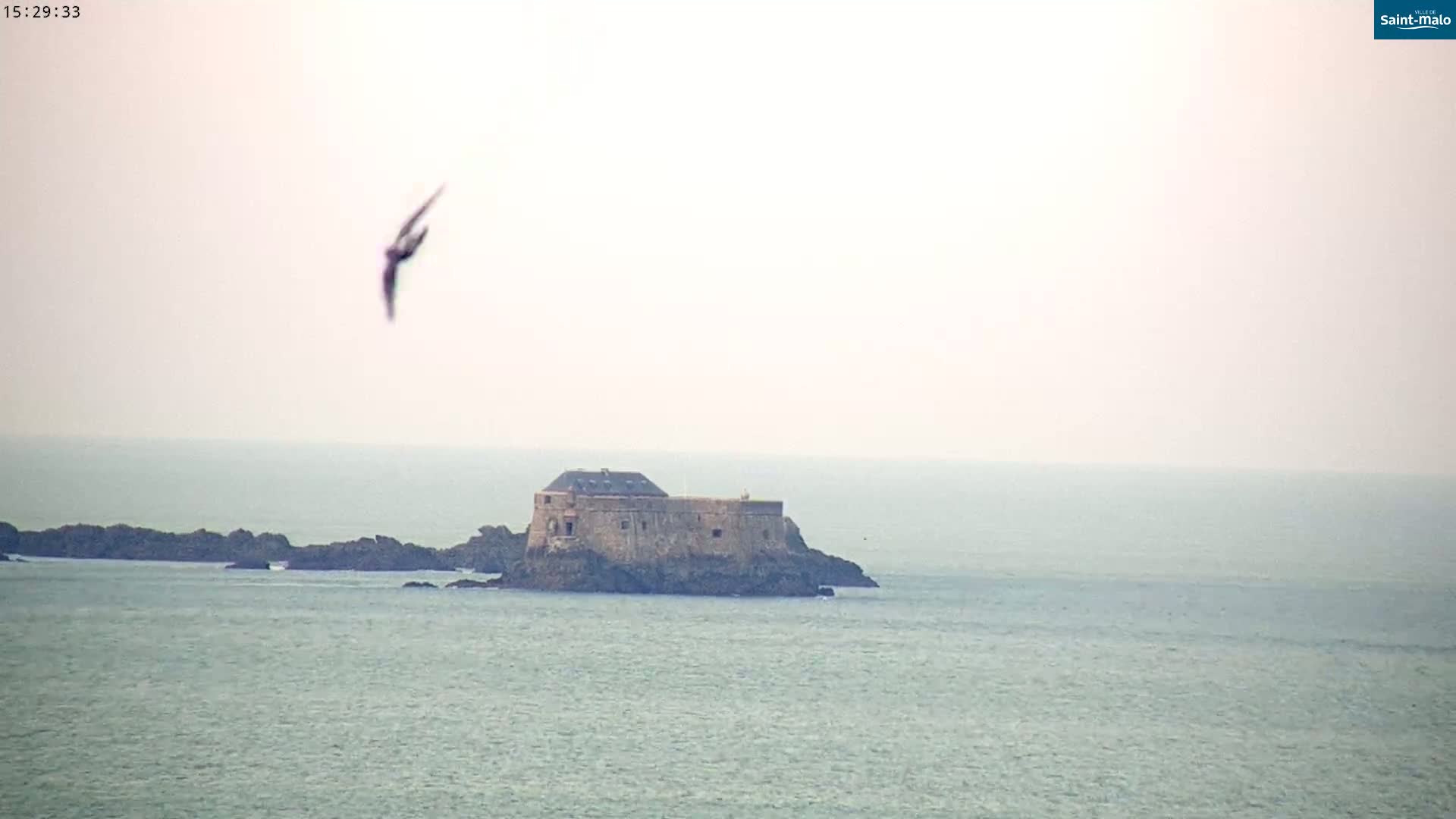 A stone fortress sits on a small, rocky island in a calm, hazy sea, with a bird flying overhead.