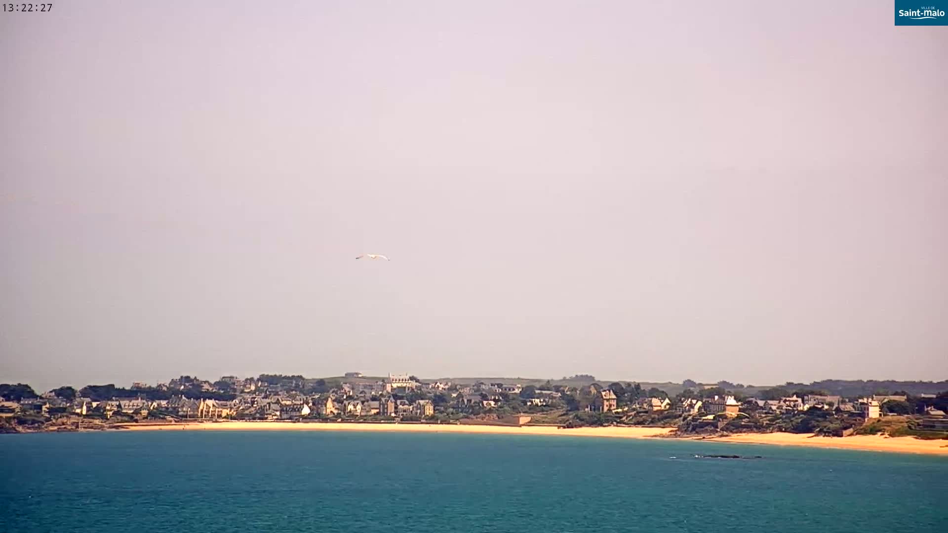 A bird flies over a calm body of water with a sandy beach and a coastal town in the background under a hazy sky.