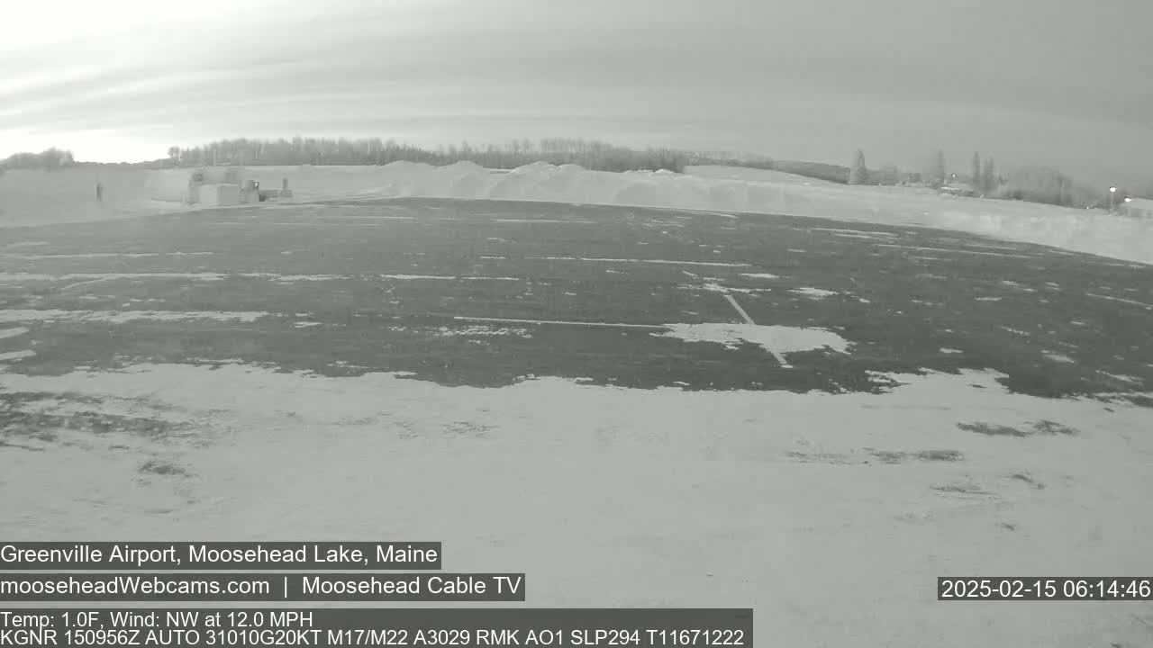 A snow-covered parking lot is visible, with a treeline in the background under a cloudy sky.