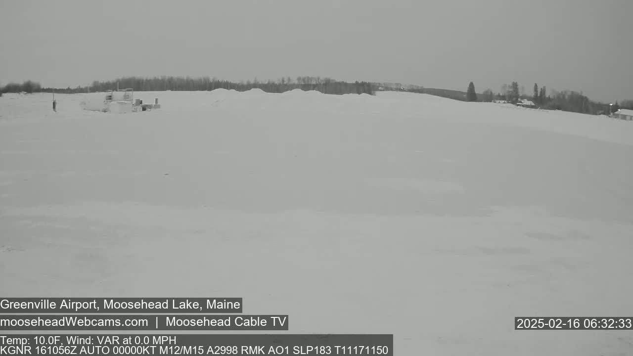 A snow-covered landscape with a distant line of trees under an overcast sky is visible.