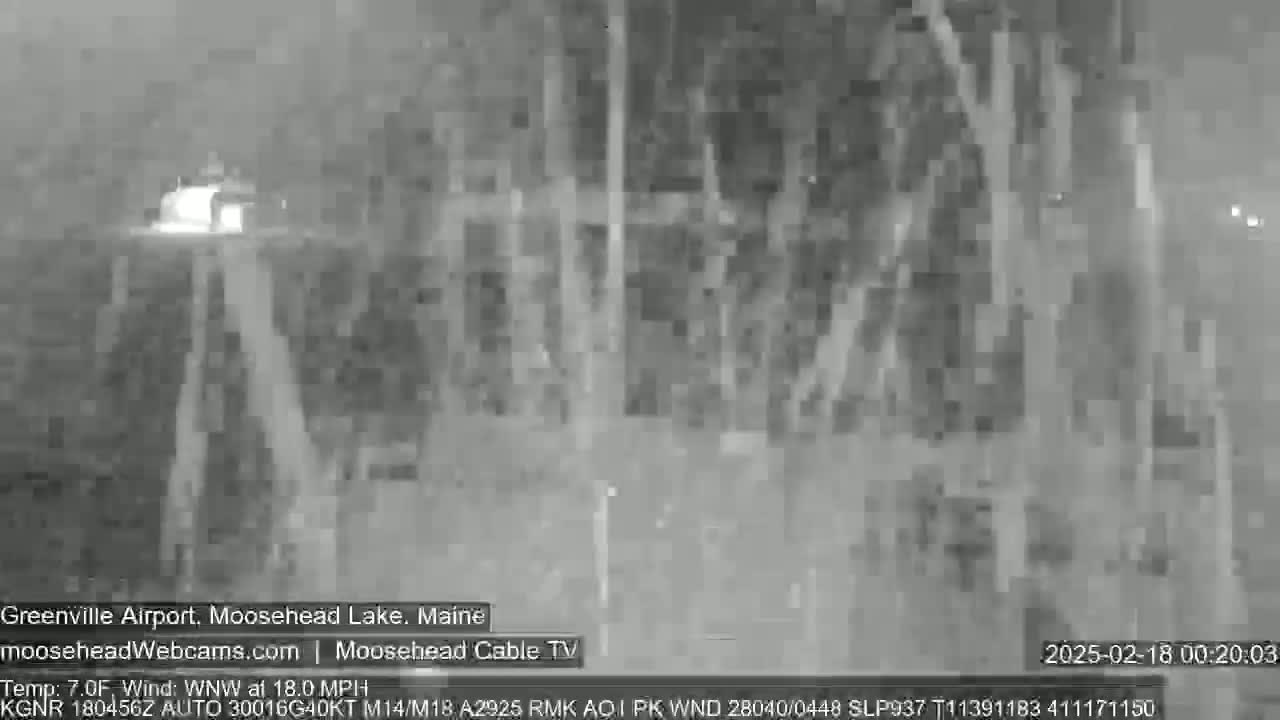 A nighttime, low-light image shows a dimly lit area with trees and structures, under windy conditions with a temperature of 7°F.