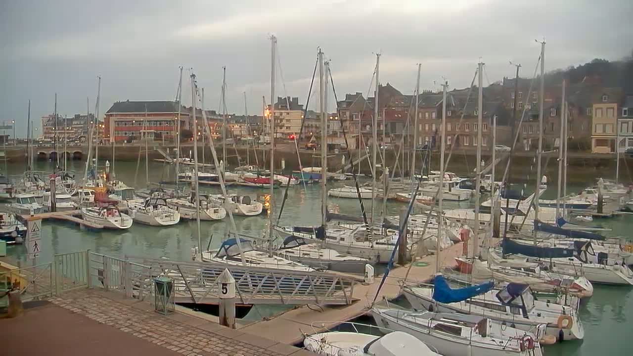 Numerous sailboats are moored in a harbor on an overcast day.