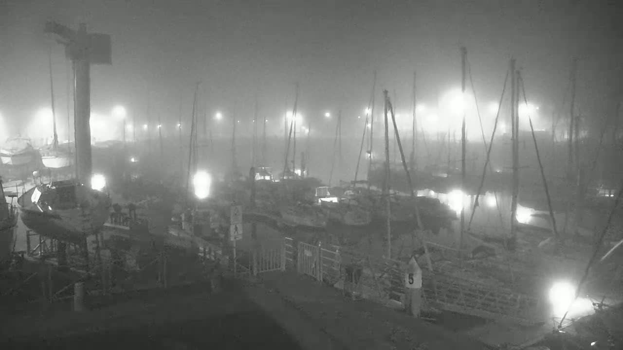 A foggy night scene shows numerous boats docked at a marina, illuminated by scattered lights.