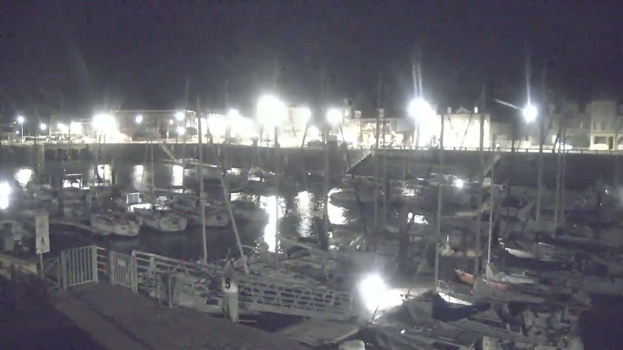 A nighttime view of a marina filled with sailboats, illuminated by artificial lights.