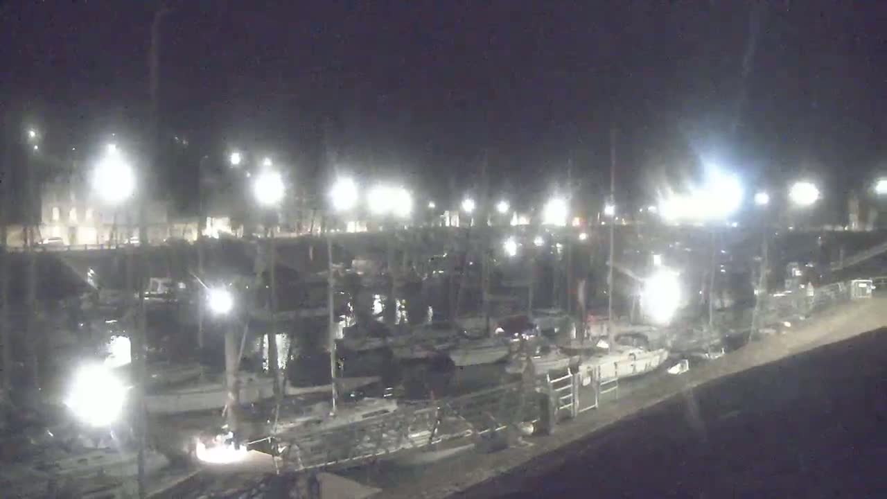A nighttime view of a marina filled with boats, illuminated by many bright lights.