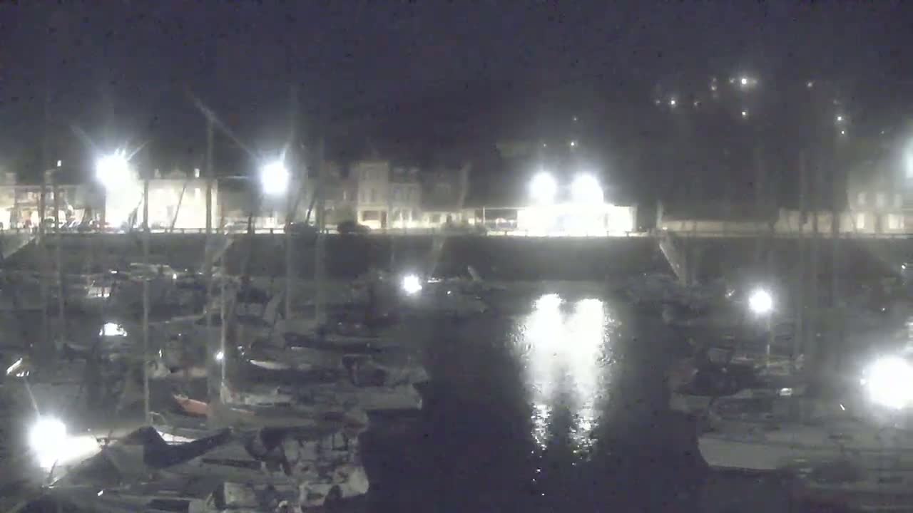 A nighttime view of a marina filled with numerous boats, illuminated by lights along a waterfront with buildings in the background.