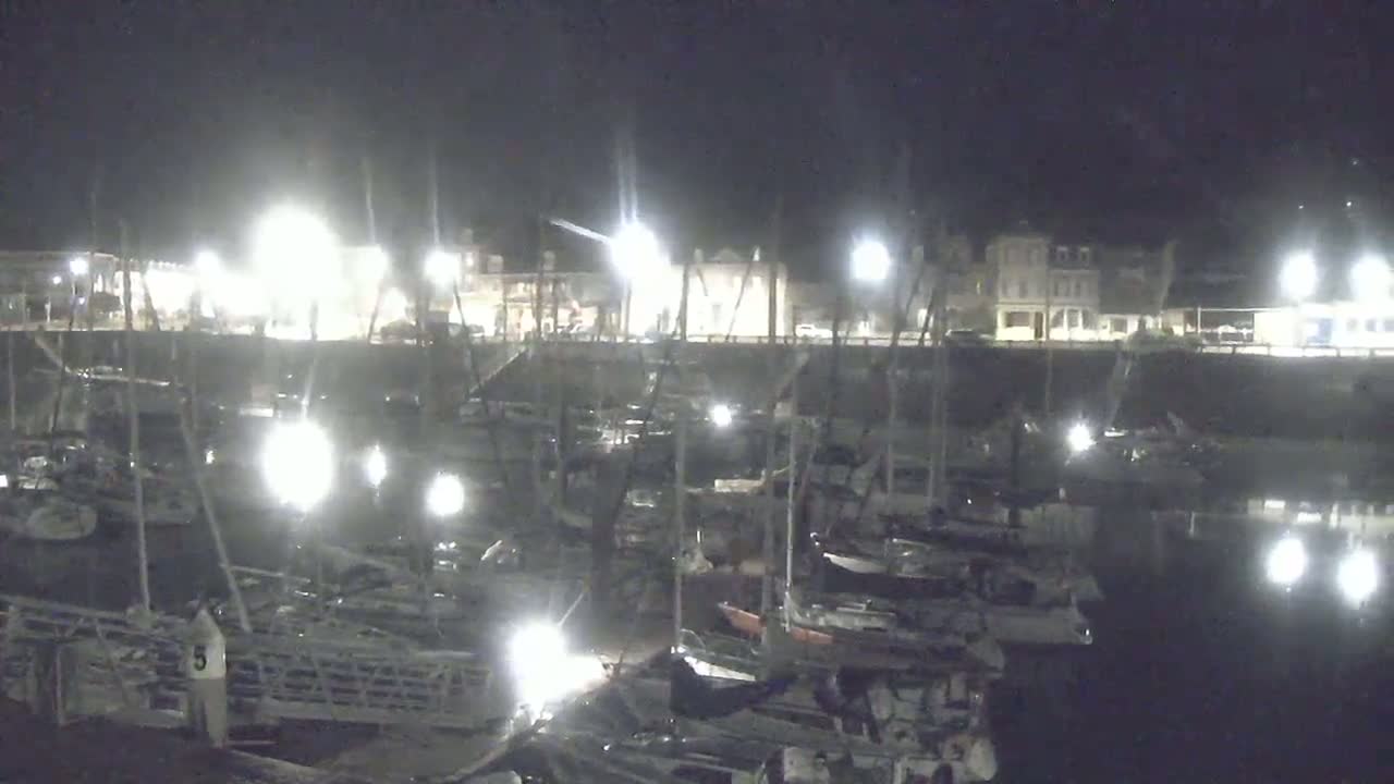 At night, numerous boats are docked in a harbor next to brightly lit buildings.