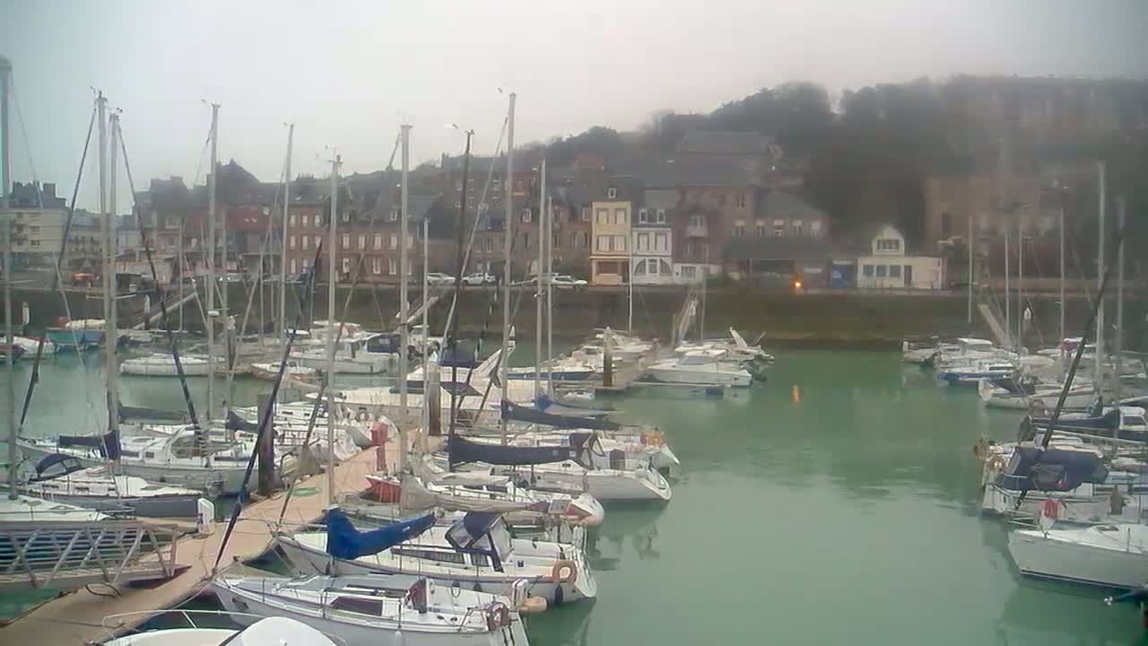 A marina filled with sailboats is nestled in front of a row of buildings on a foggy day.