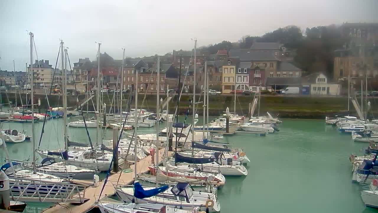 A harbor filled with numerous sailboats is situated in front of a town built on a hillside, under an overcast sky.