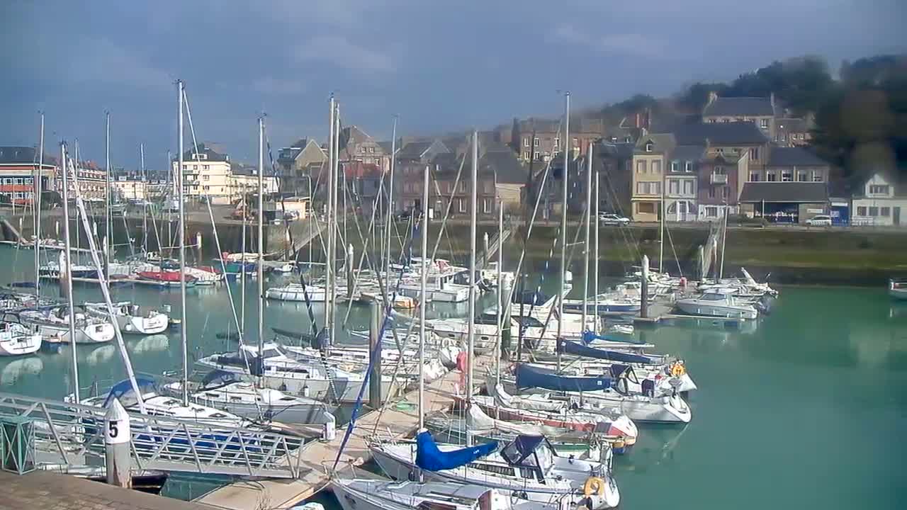 Many sailboats are docked in a marina on a partly cloudy day, with buildings visible in the background.
