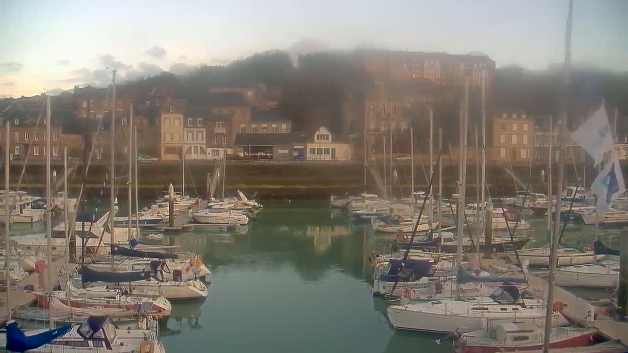 A marina filled with sailboats is nestled against a foggy hillside town.