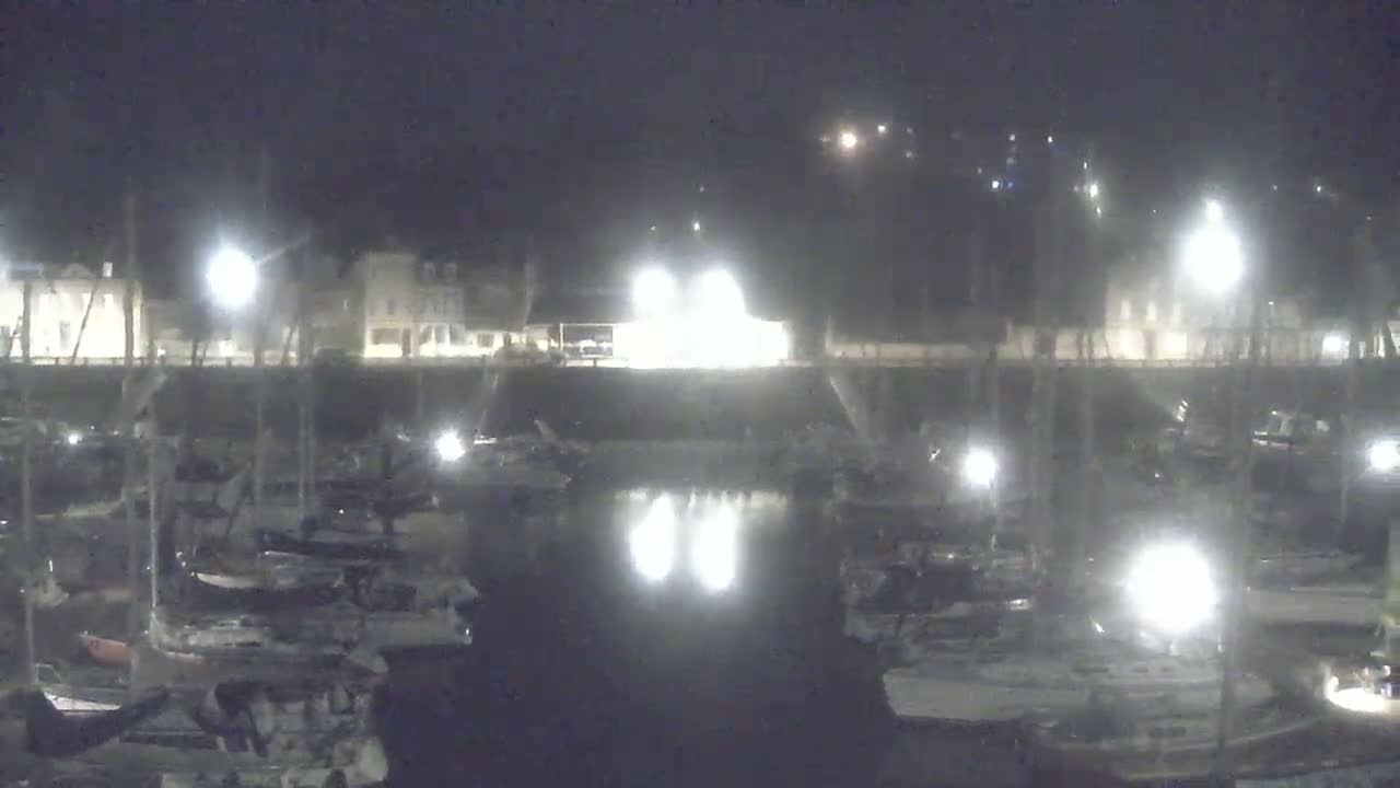 A nighttime view of a marina filled with numerous boats, illuminated by bright lights, under a dark, clear sky.