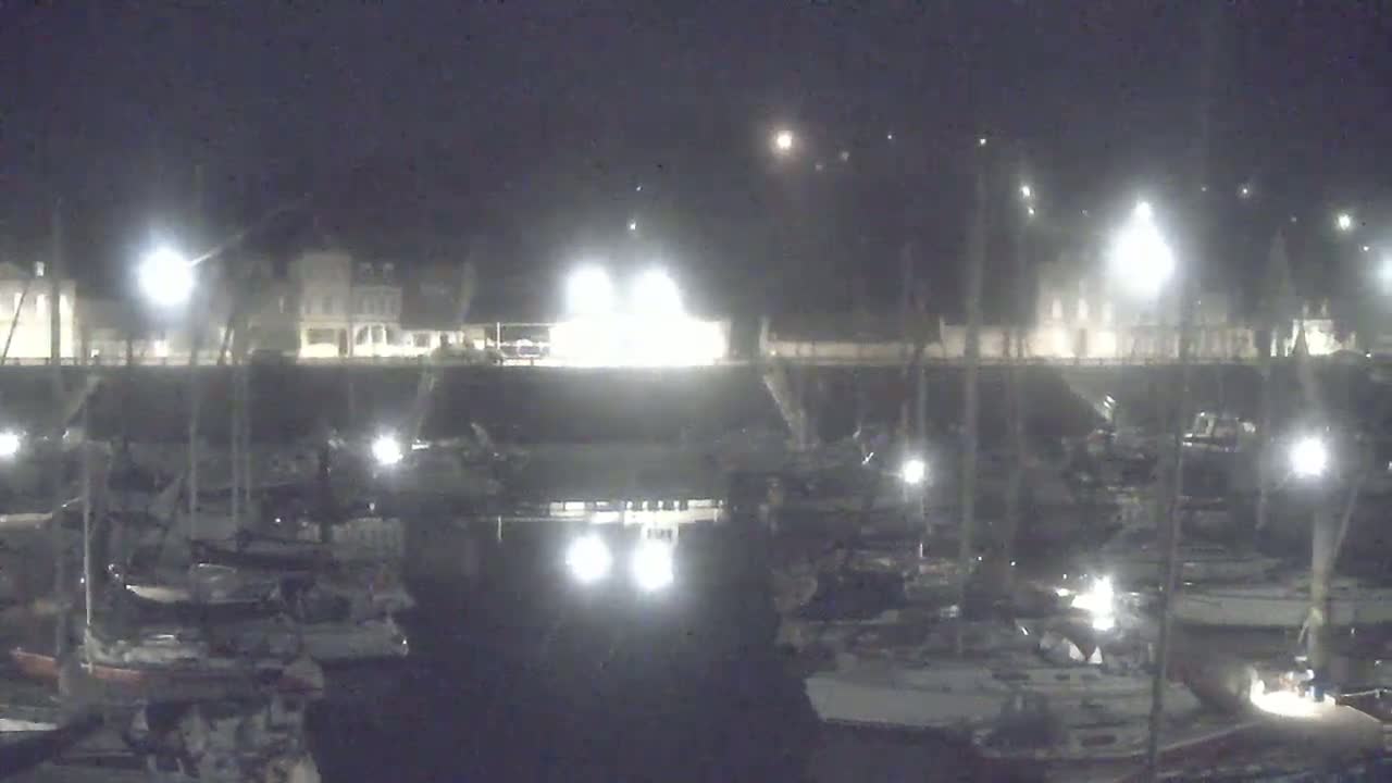 A nighttime view of a marina filled with numerous boats docked along a waterfront, illuminated by artificial lights under a dark, clear sky.