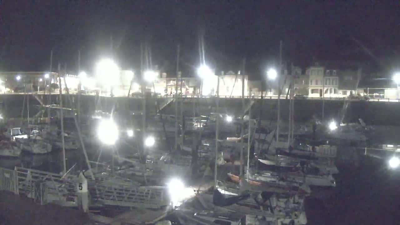 A nighttime view of a marina filled with numerous boats docked along a waterfront, illuminated by bright lights against a dark sky.