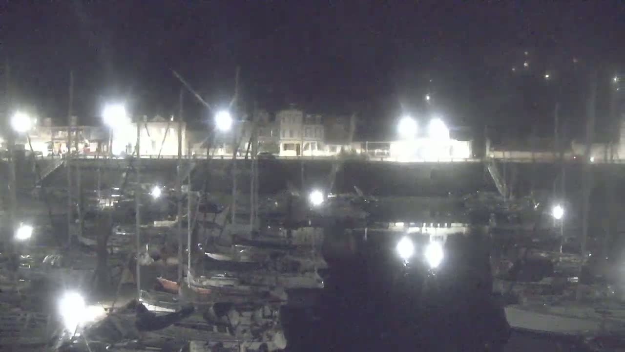 A nighttime view of a harbor filled with numerous boats docked along a waterfront, illuminated by artificial lights.