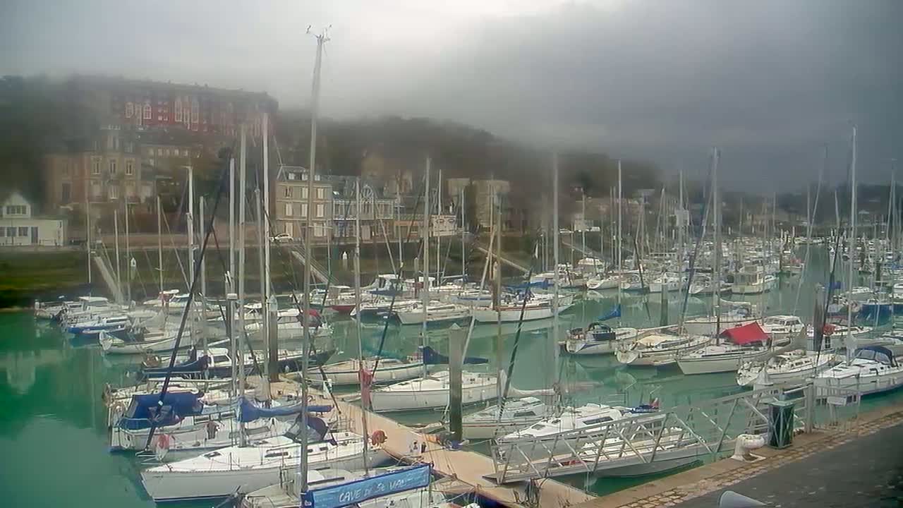 A marina filled with numerous sailboats is nestled beside a hillside town under a cloudy, overcast sky.