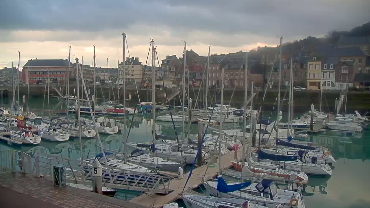 Many sailboats are docked in a marina under an overcast sky, with buildings lining the waterfront.