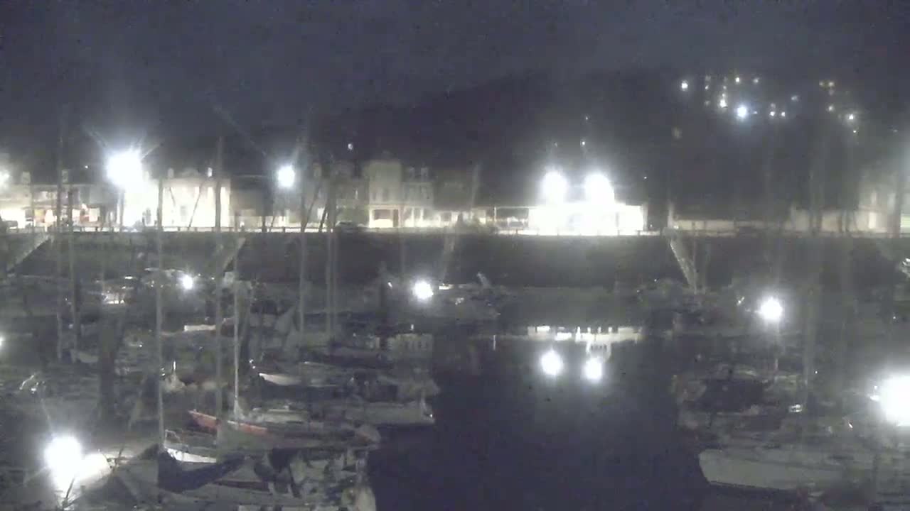 A nighttime view of a marina filled with numerous boats, illuminated by artificial lights, under a dark sky.
