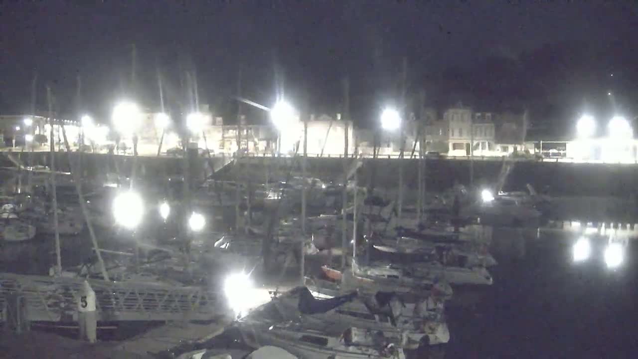 A nighttime view of a marina filled with sailboats docked along a waterfront, brightly lit by artificial lights under a dark sky.