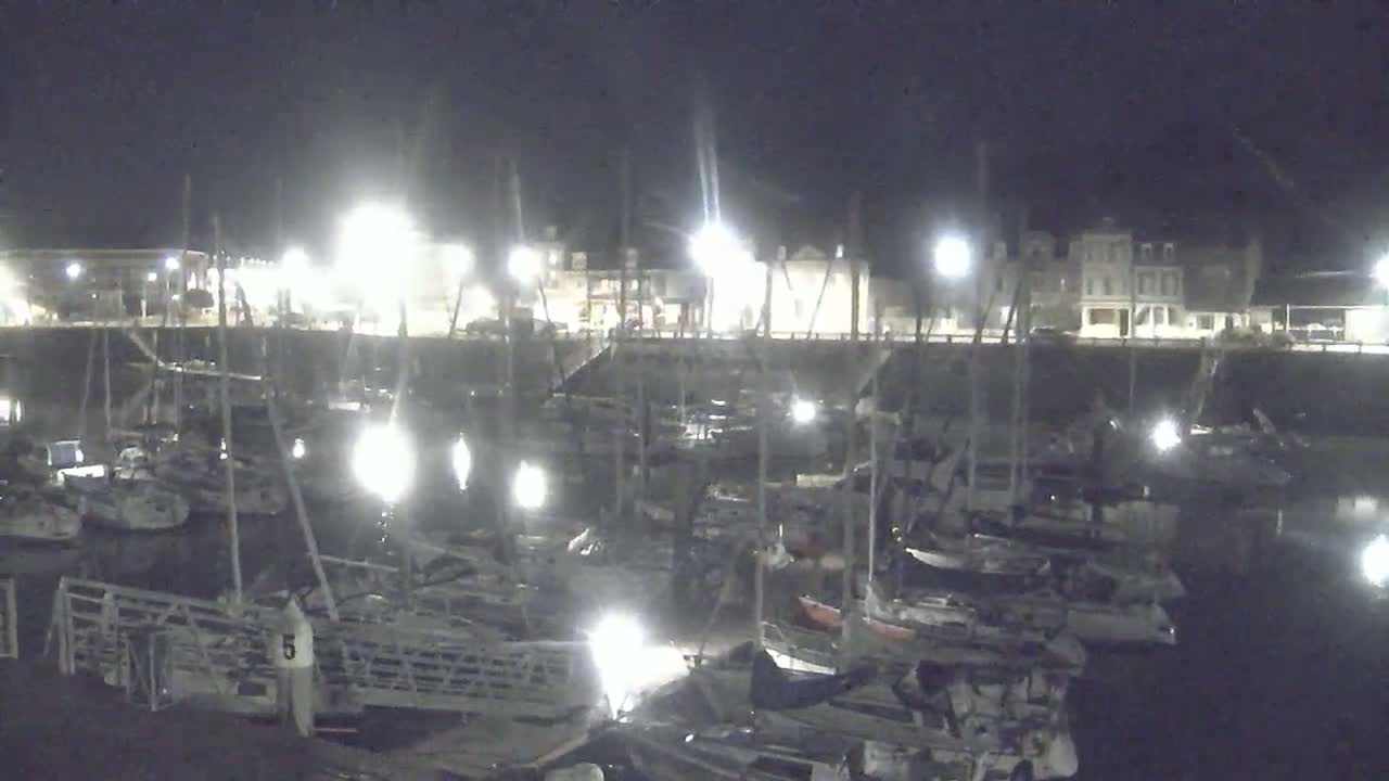 Many boats are docked at a marina at night under bright lights, with buildings visible in the background.