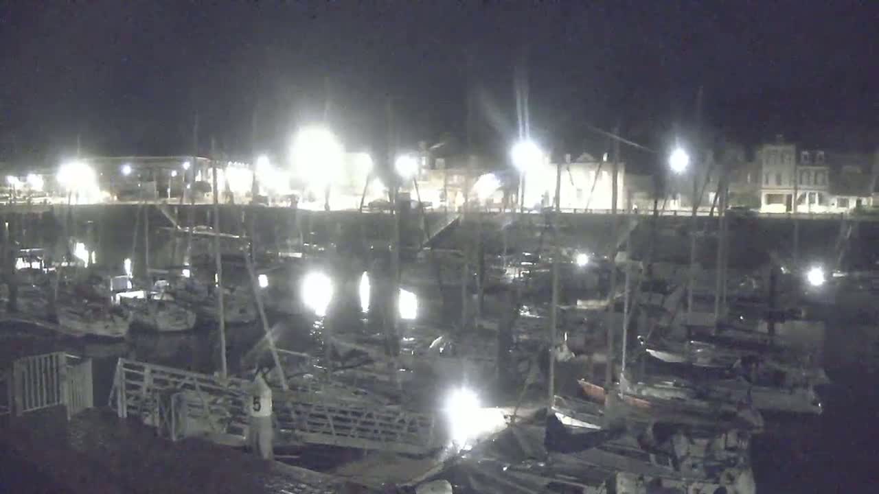 A nighttime view of a marina filled with numerous boats docked under artificial lighting.