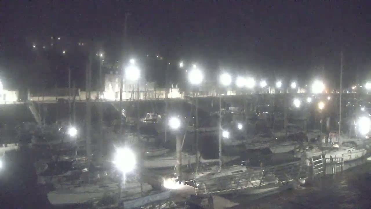 A nighttime view of a marina filled with numerous boats illuminated by bright lights.