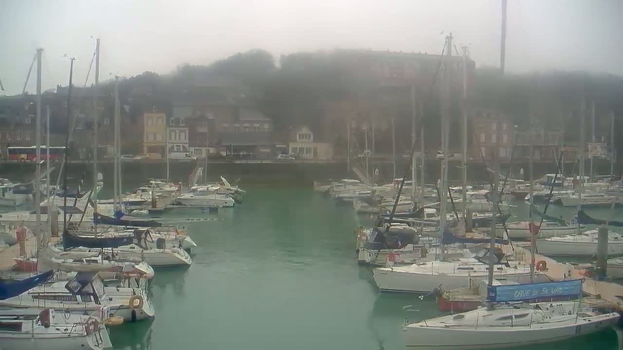 Numerous sailboats are docked in a marina on a foggy day.