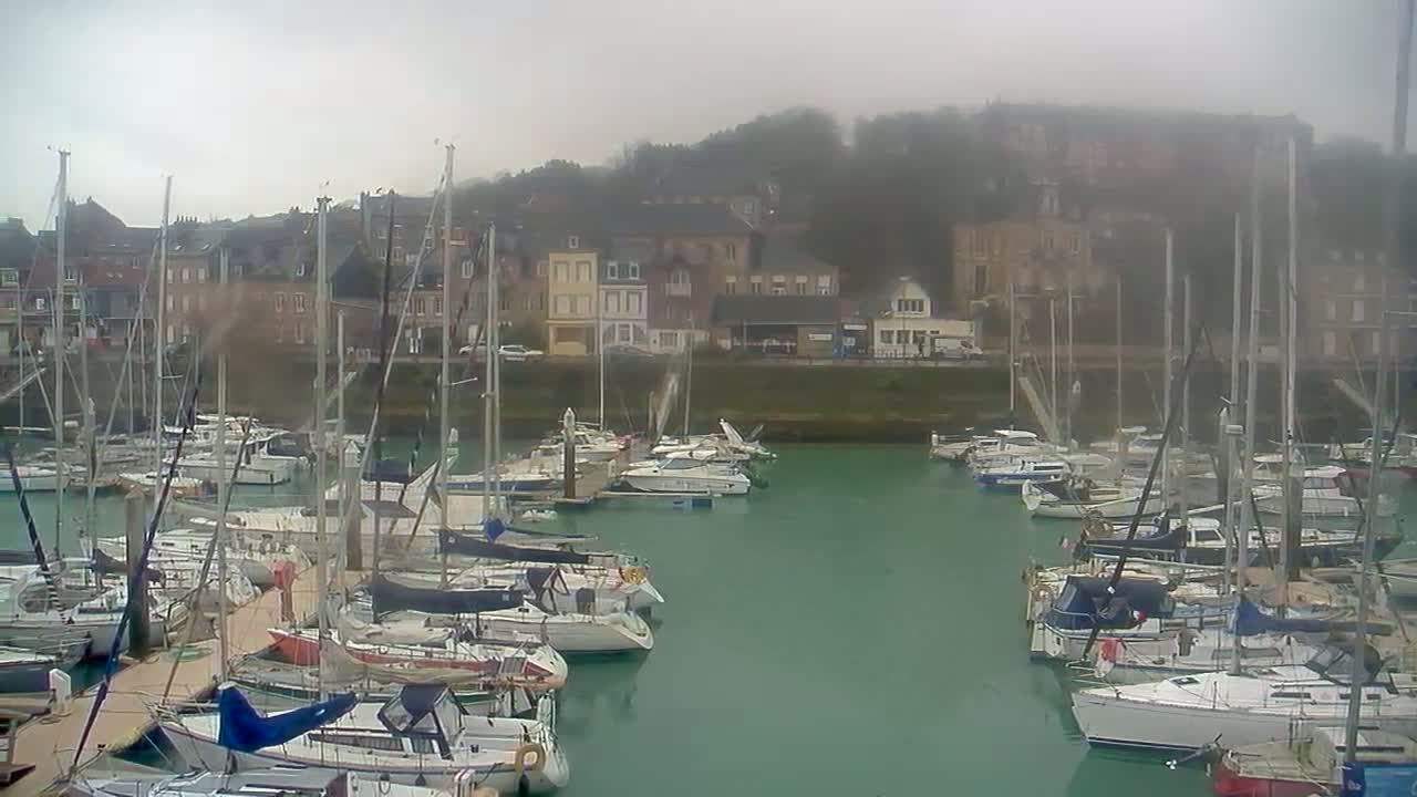 A marina filled with sailboats is nestled beside a waterfront town on a foggy day.