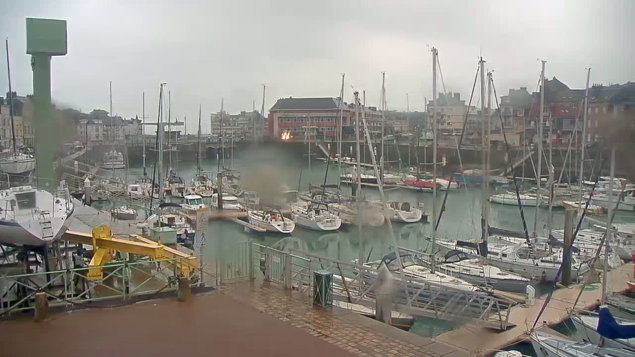 Many sailboats are docked in a harbor on an overcast day.