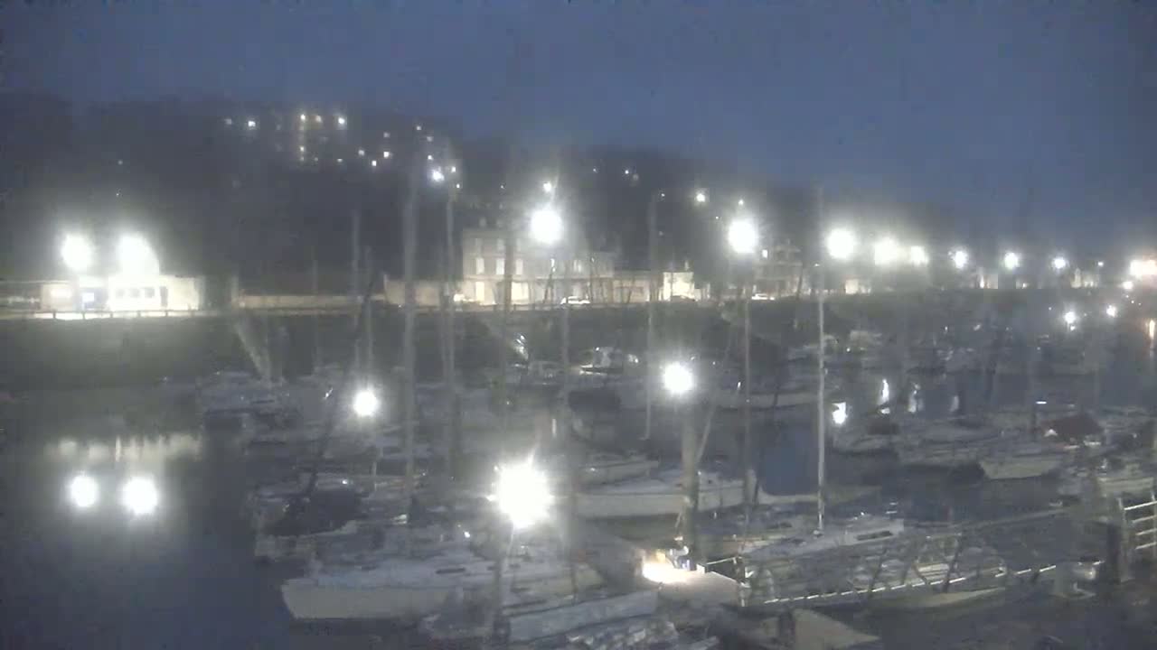 A nighttime view of a marina filled with sailboats under hazy conditions, illuminated by numerous bright lights.