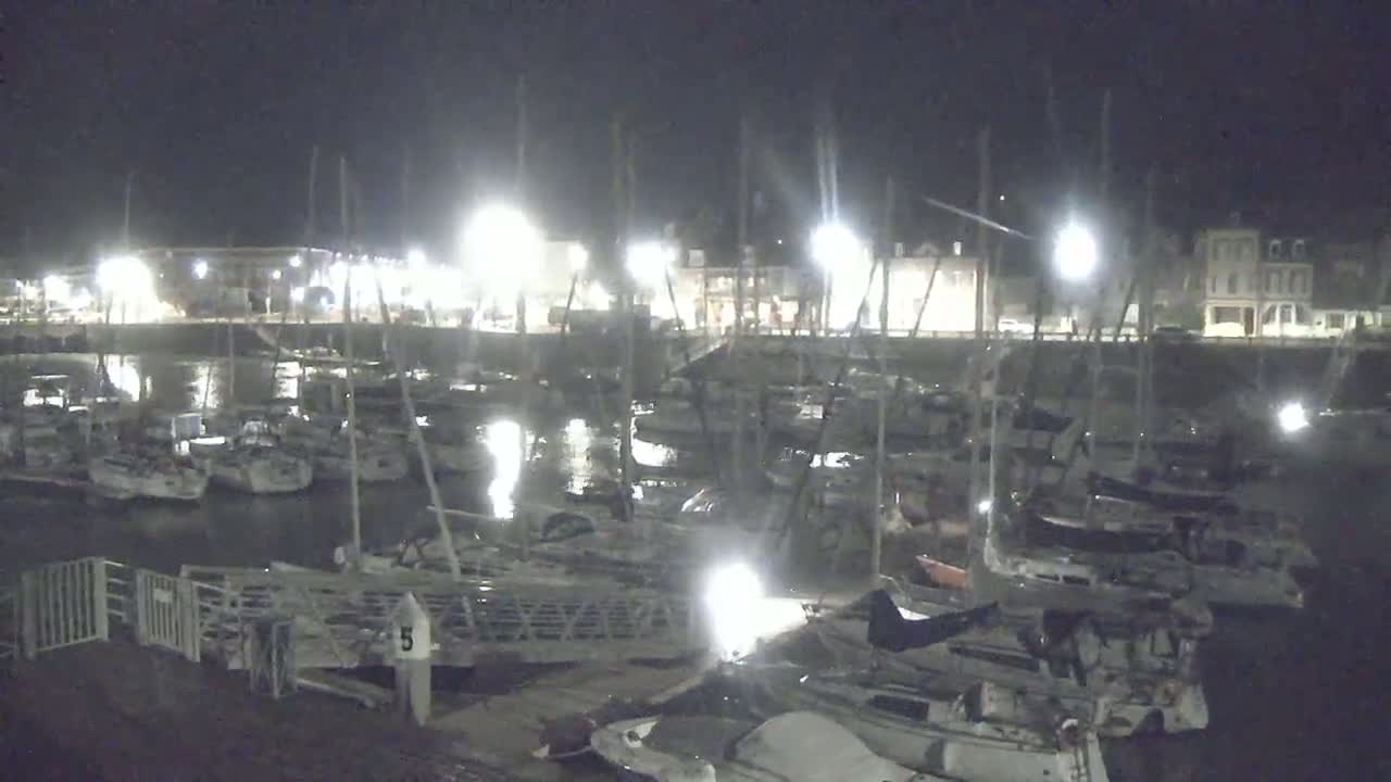 Many sailboats are docked at a marina at night under bright lights.
