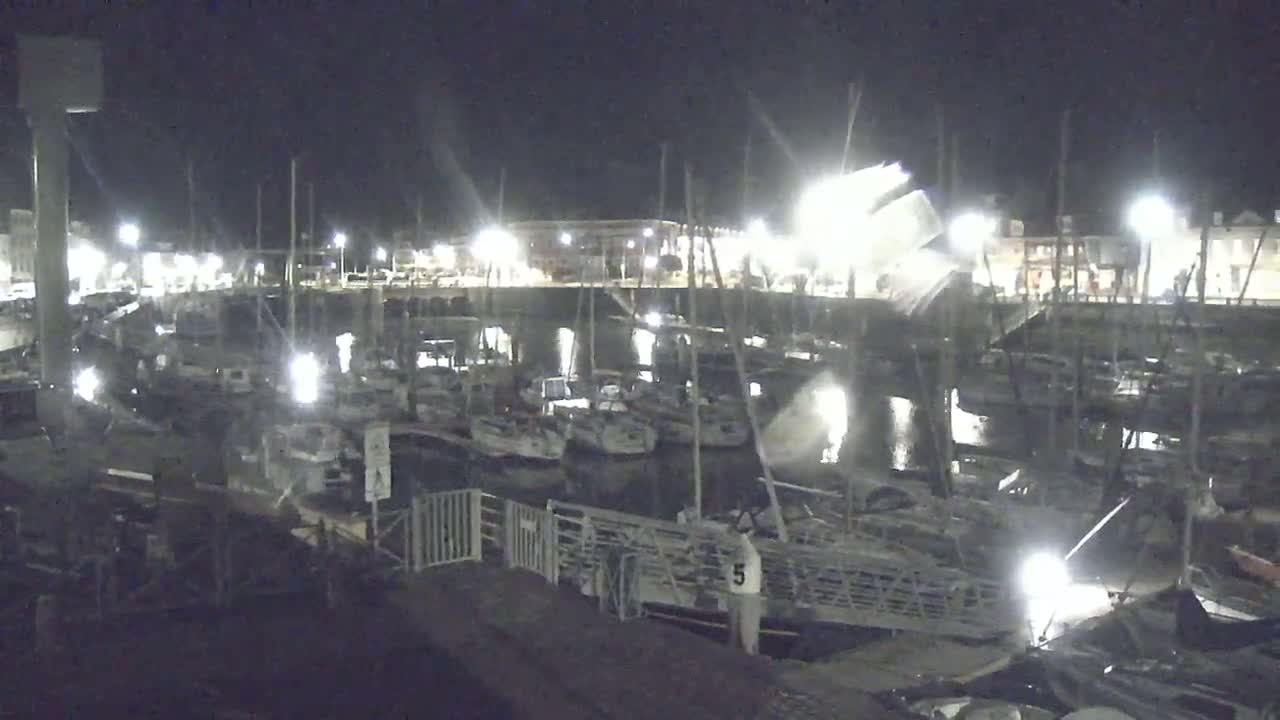At night, numerous boats are docked in a marina, illuminated by artificial lights under a clear sky.