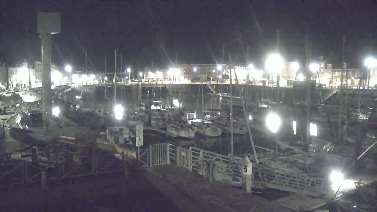 A marina at night, brightly lit, filled with numerous docked sailboats under a dark sky.