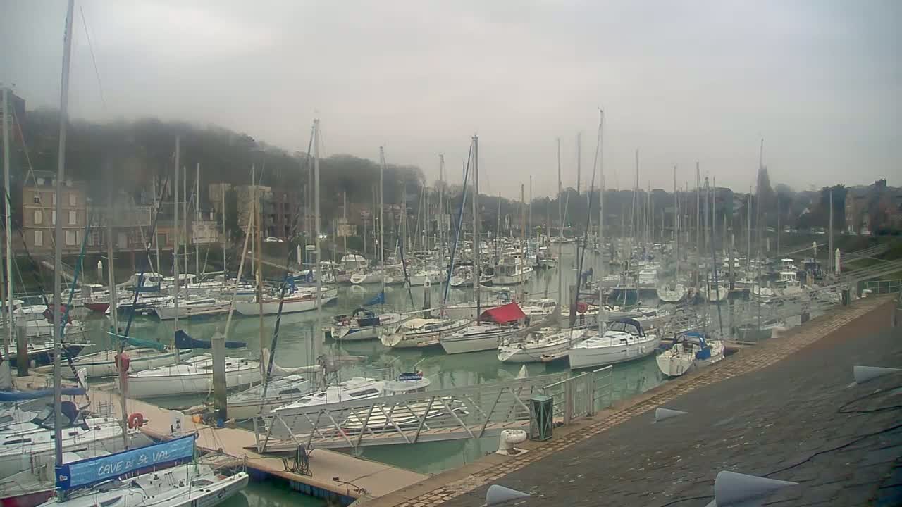A marina filled with numerous sailboats and motorboats is seen on an overcast day, with fog partially obscuring the background hills.