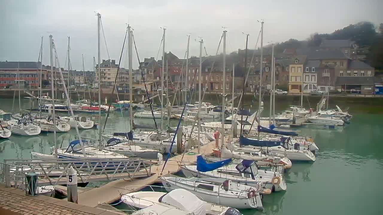 Numerous sailboats are moored in a calm harbor next to a town under an overcast sky.