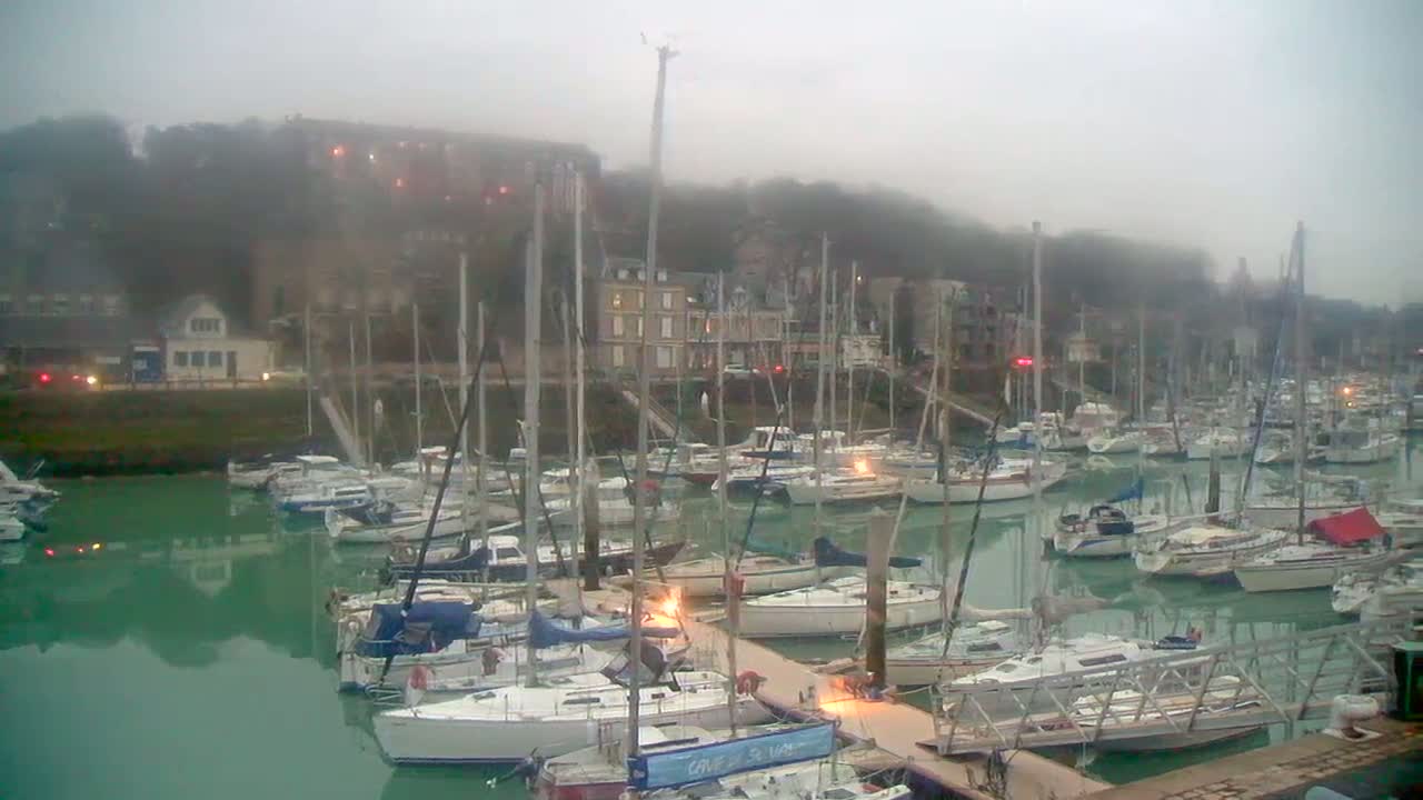 A foggy marina filled with numerous sailboats docked along piers, backed by a hillside of buildings and trees.