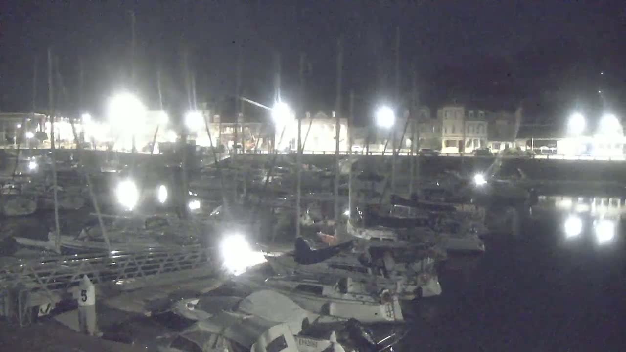 A nighttime view of a marina filled with numerous boats docked along a waterfront, with buildings and streetlights visible in the background.